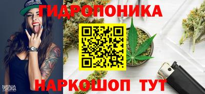 шишки Рыбинск