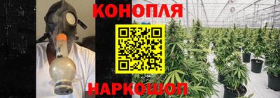 шишки Рыбинск