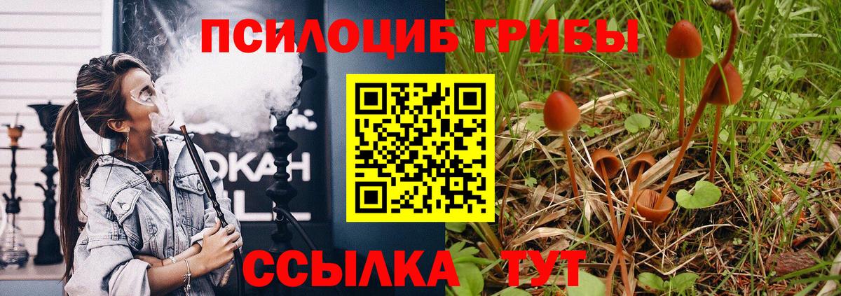 Осинники  Галлюциногенные грибы Magic Shrooms  Галлюциногенные грибы MAGIC MUSHROOMS  Вход с VPN 